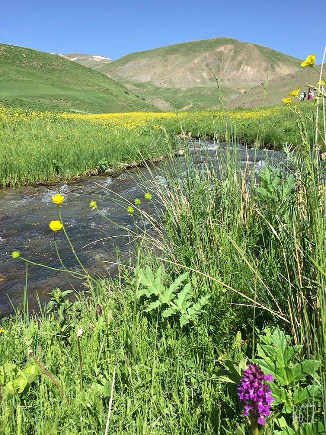 Özalp Sağmallı Beldesi Resimleri 4