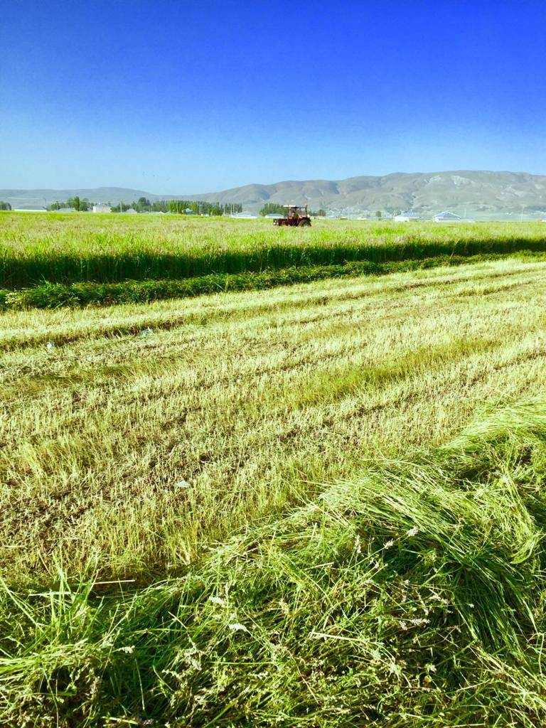 Özalp Sağmallı Beldesi Resimleri 40