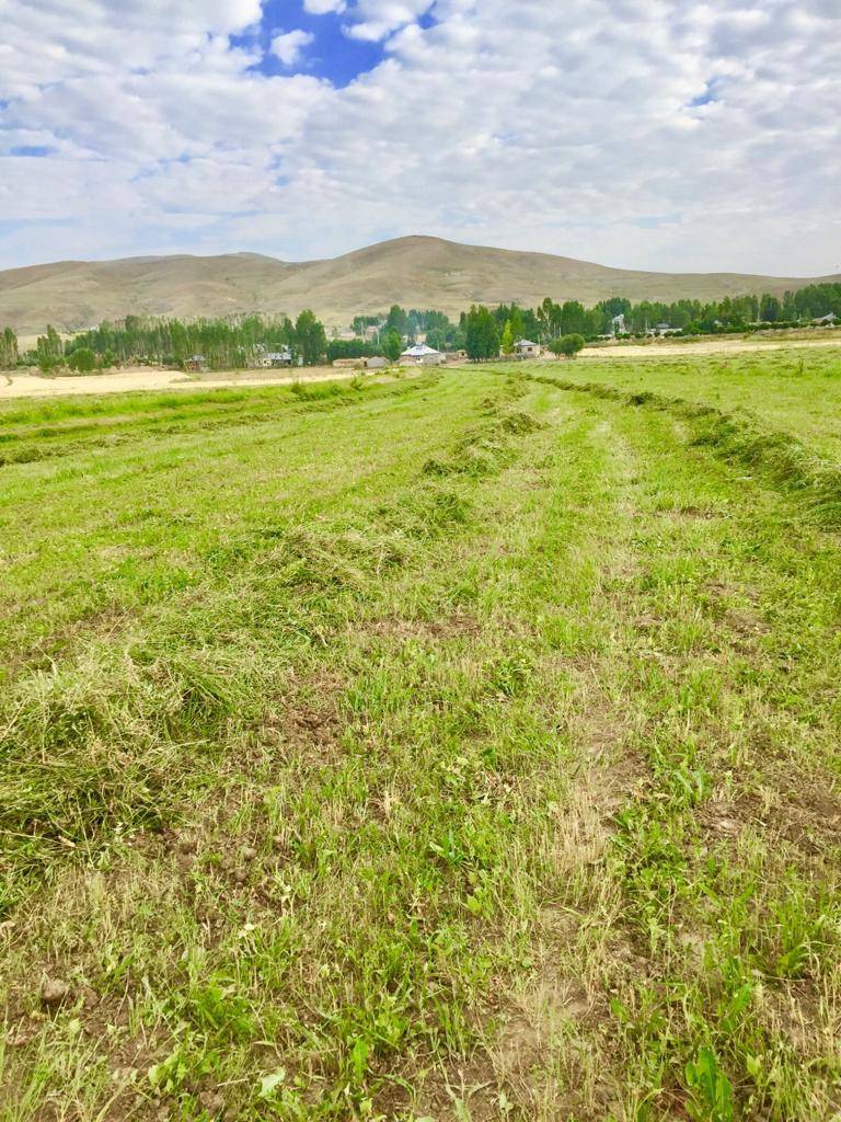 Özalp Sağmallı Beldesi Resimleri 42