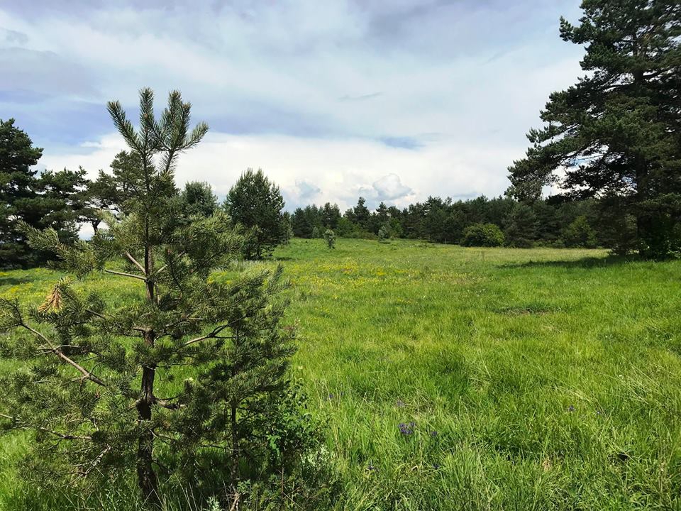 Ovacık Çatak Köyü Resimleri 1