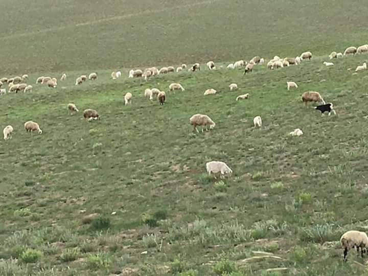 Polatlı Ilıca Köyü Resimleri 4