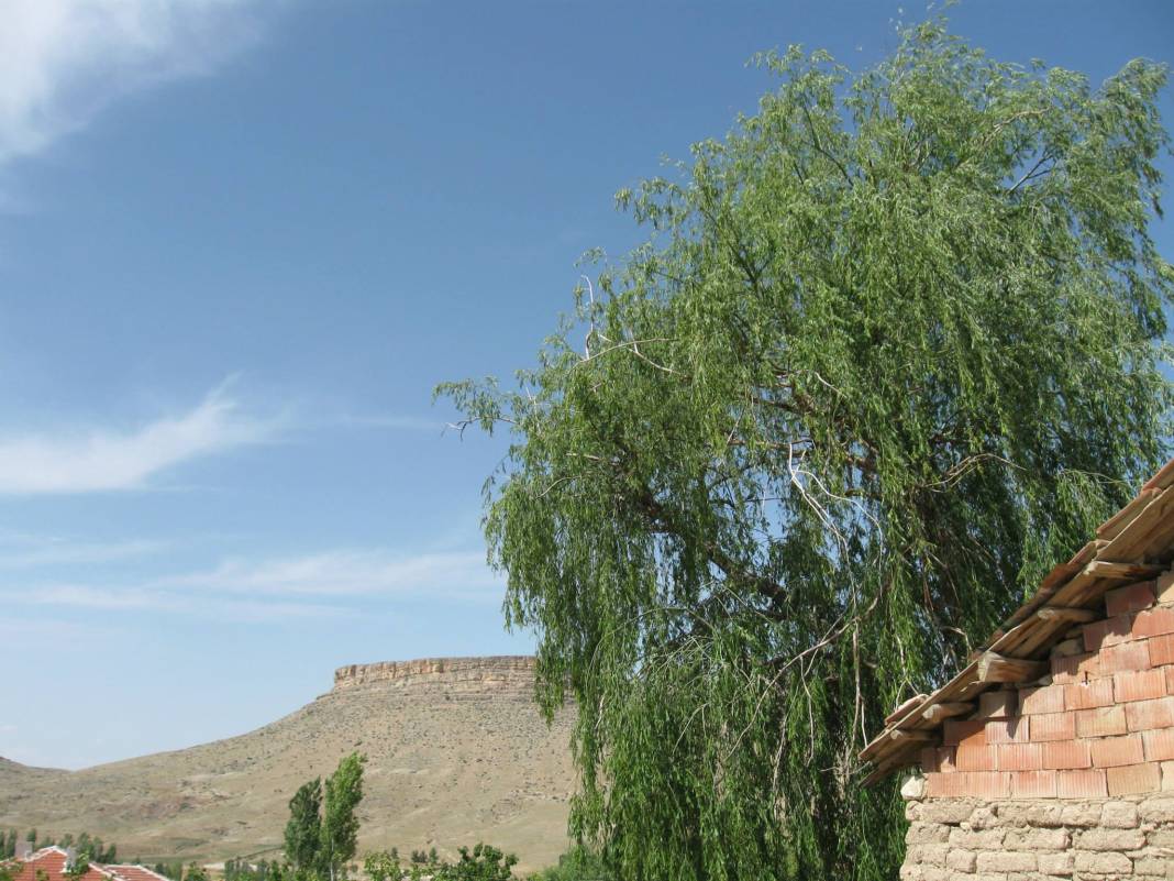 Polatlı Karahamzalı Köyü Resimleri 11