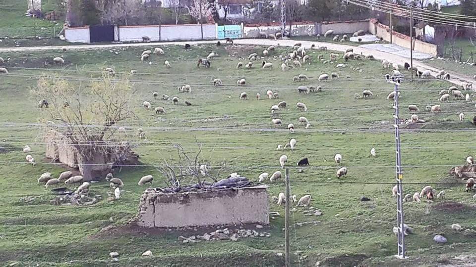 Polatlı Kargalı Köyü Resimleri 6