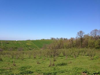 Kaynarca Uzunalan Köyü Resimleri 1