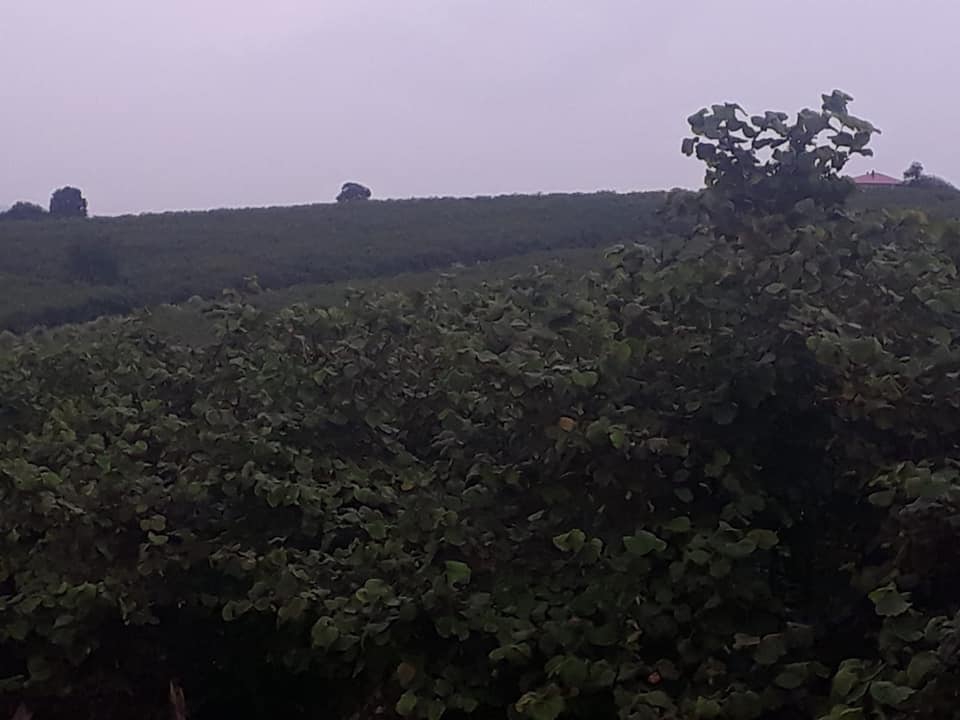 Kaynarca Uzunalan Köyü Resimleri 3