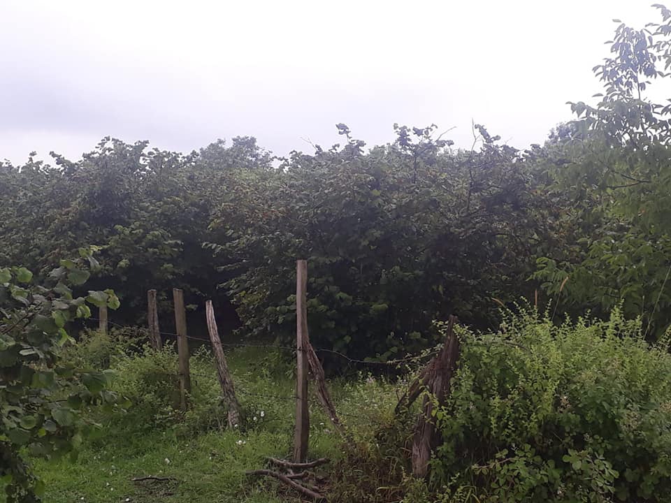 Kaynarca Uzunalan Köyü Resimleri 4