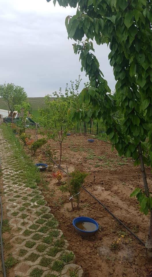 Polatlı Kuşçu Köyü Resimleri 2