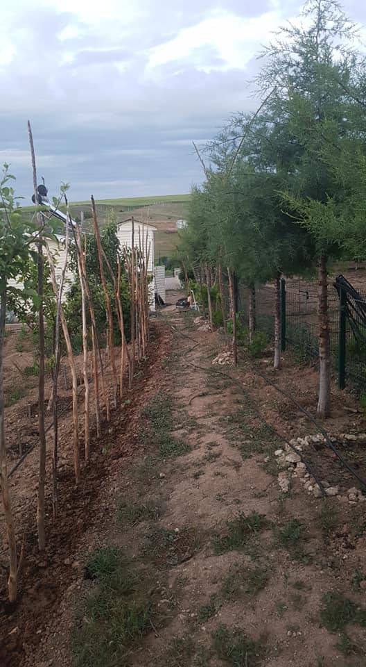 Polatlı Kuşçu Köyü Resimleri 3