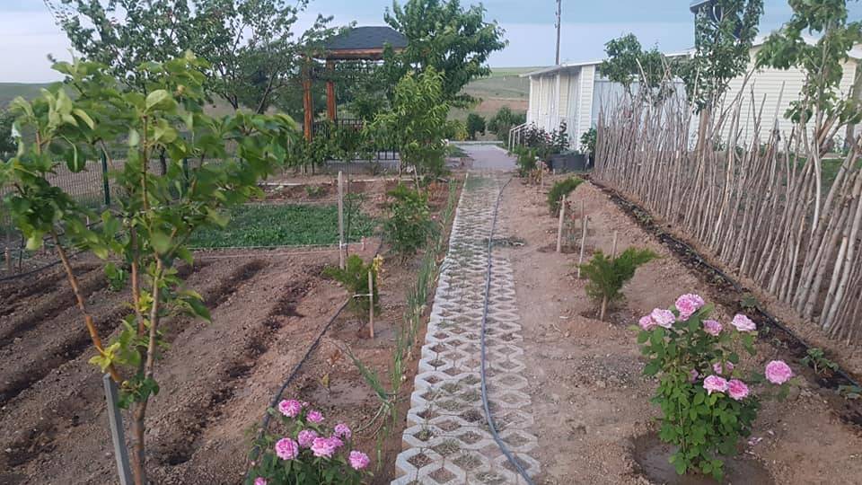 Polatlı Kuşçu Köyü Resimleri 4