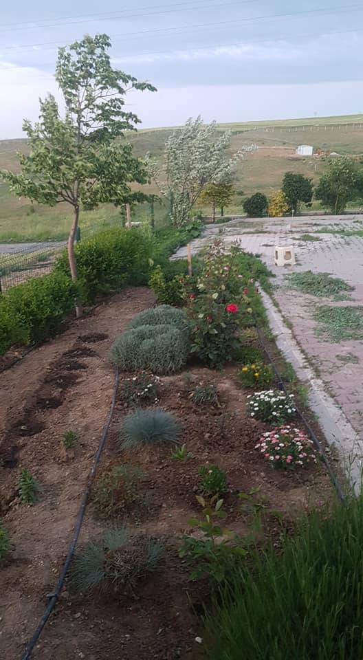 Polatlı Kuşçu Köyü Resimleri 5