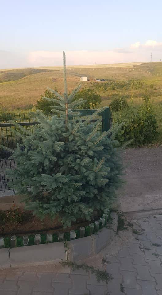 Polatlı Kuşçu Köyü Resimleri 6