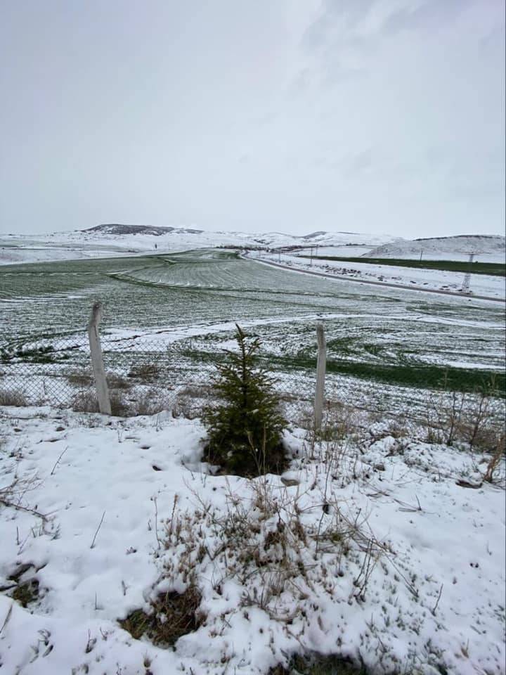 Polatlı Oğuzlar Köyü Resimleri 4