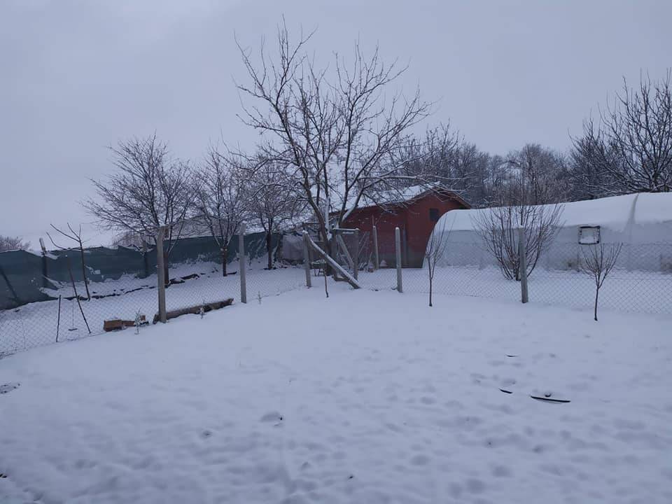 Polatlı Oğuzlar Köyü Resimleri 8