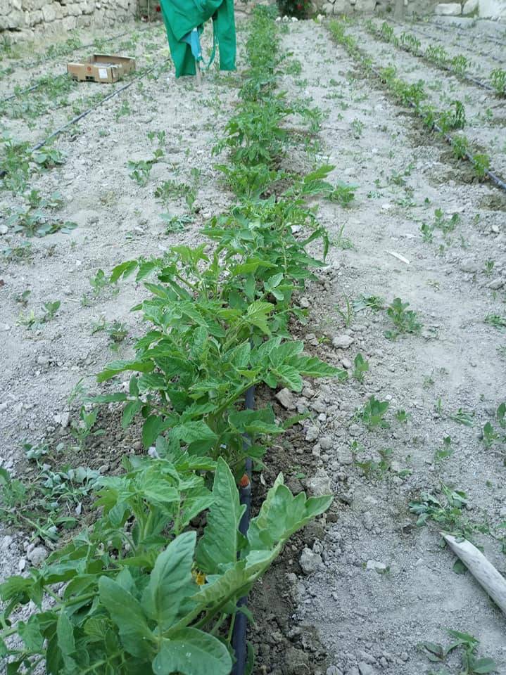 Polatlı Özyurt Köyü Resimleri 13