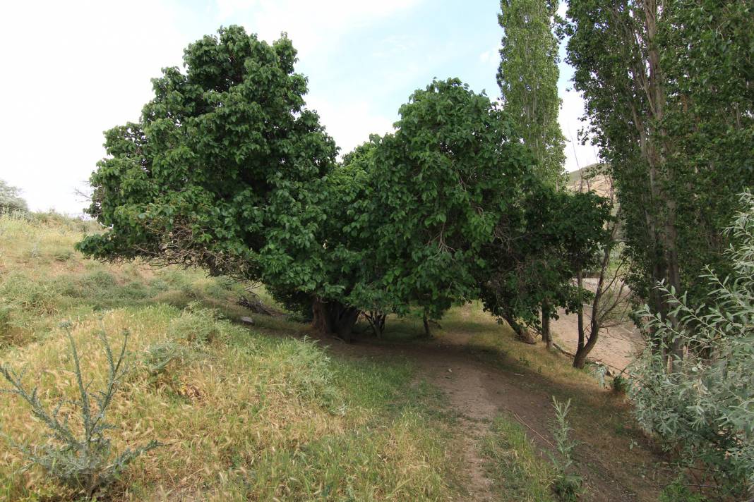 Polatlı Poyraz Köyü Resimleri 20