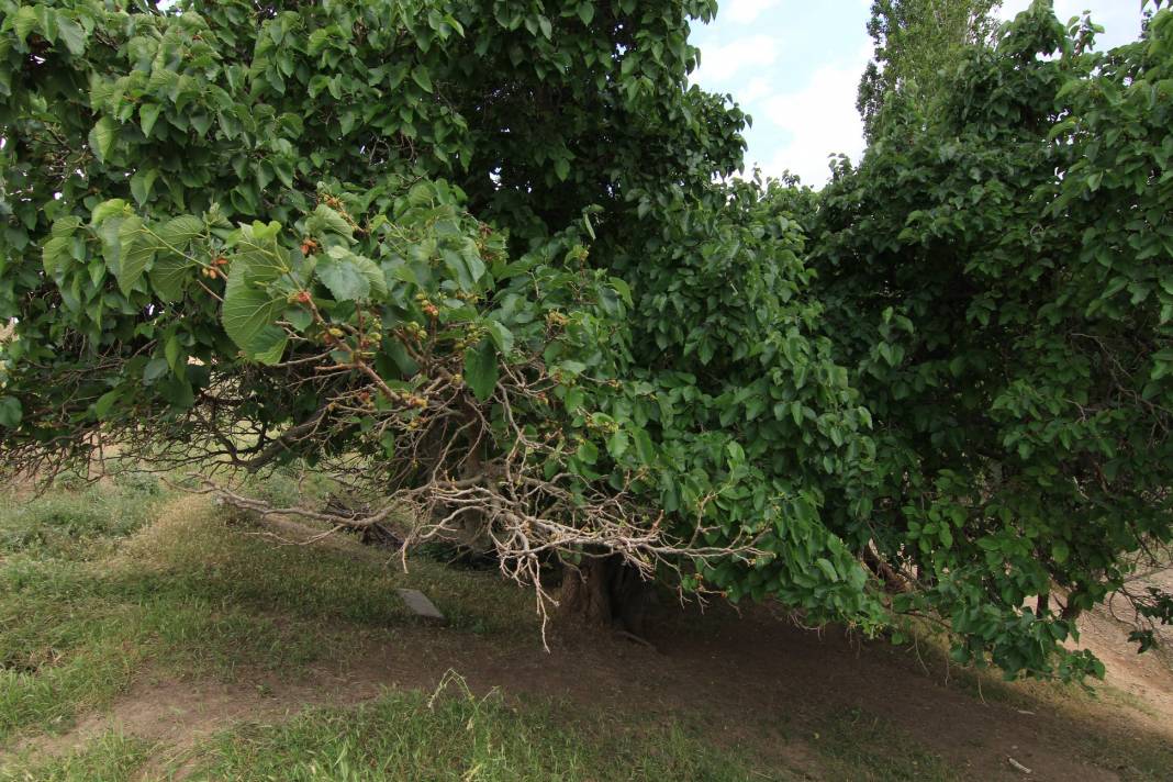 Polatlı Poyraz Köyü Resimleri 22