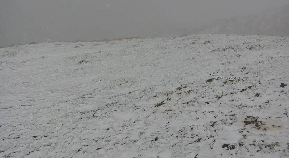 Polatlı Poyraz Köyü Resimleri 4