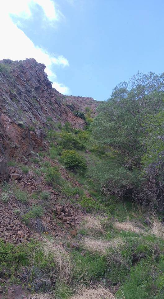 Polatlı Poyraz Köyü Resimleri 6