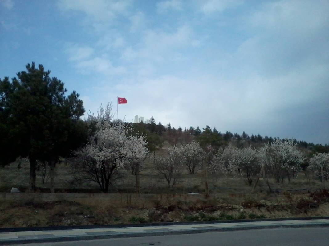 Polatlı Sakarya Köyü Resimleri 2