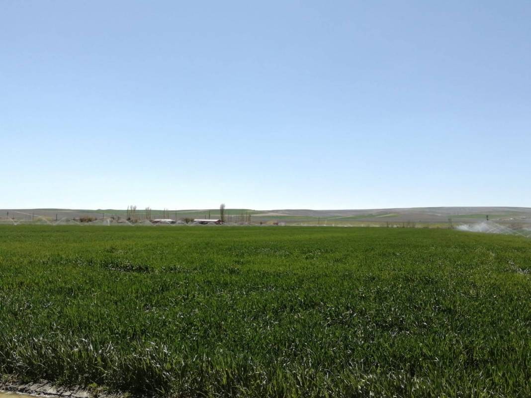 Polatlı Sarıoba Köyü Resimleri 2