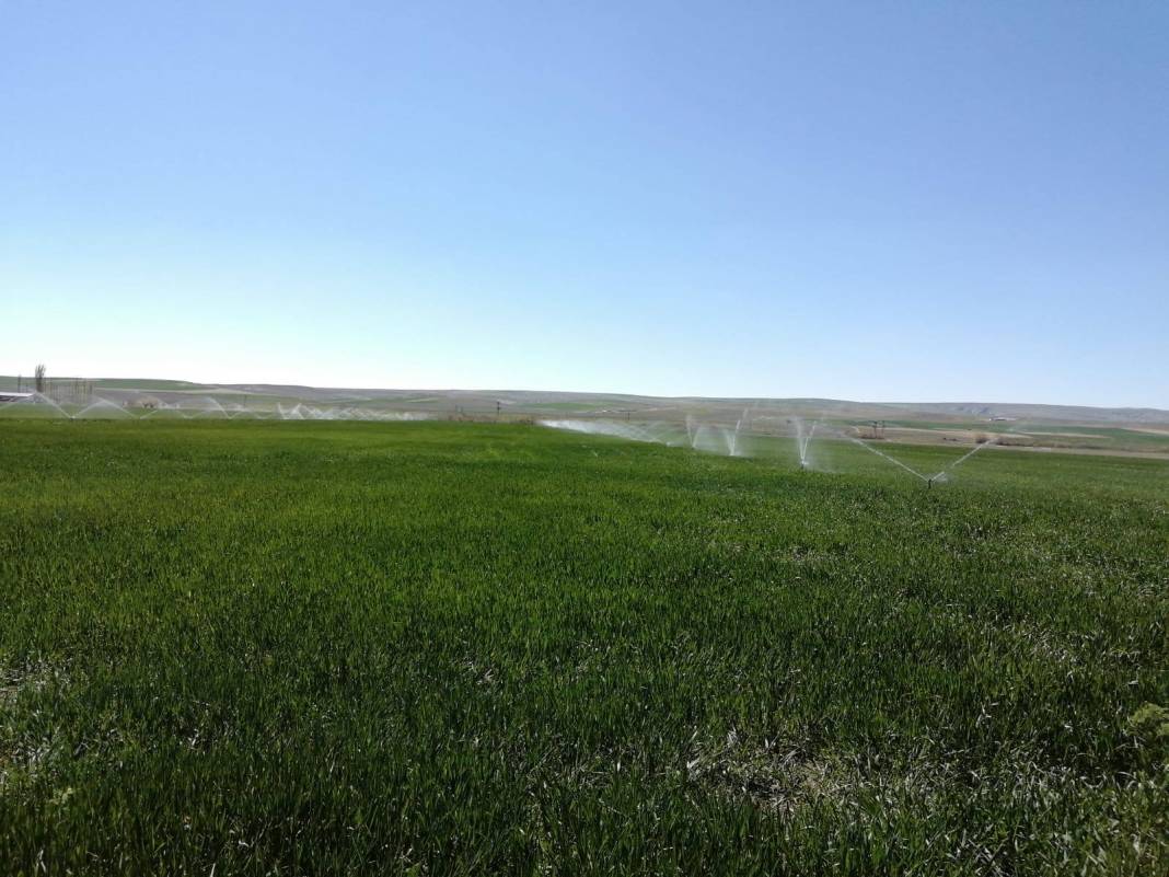 Polatlı Sarıoba Köyü Resimleri 3