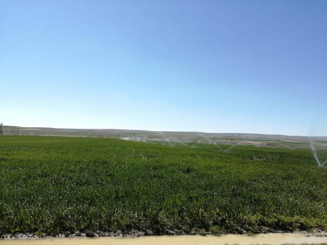 Polatlı Sarıoba Köyü Resimleri 4