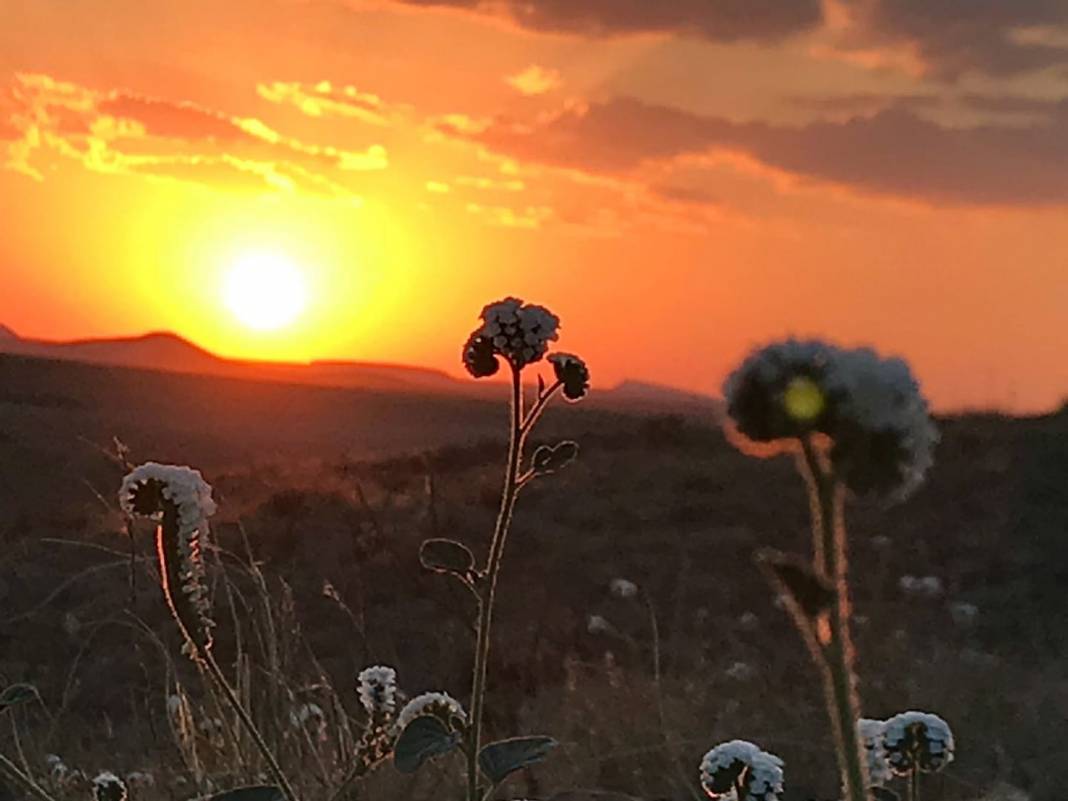 Polatlı Sazlar Köyü Resimleri 3