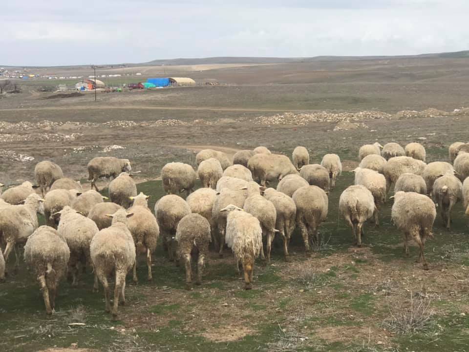Polatlı Sinanlı Köyü Resimleri 8