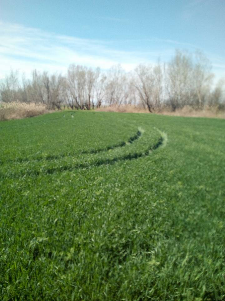 Polatlı Şabanözü Köyü Resimleri 3