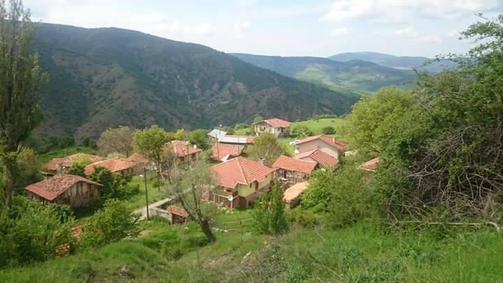 Ovacık Dökecek Köyü Resimleri 8