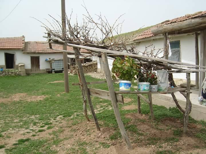 Polatlı Taşpınar Köyü Resimleri 1