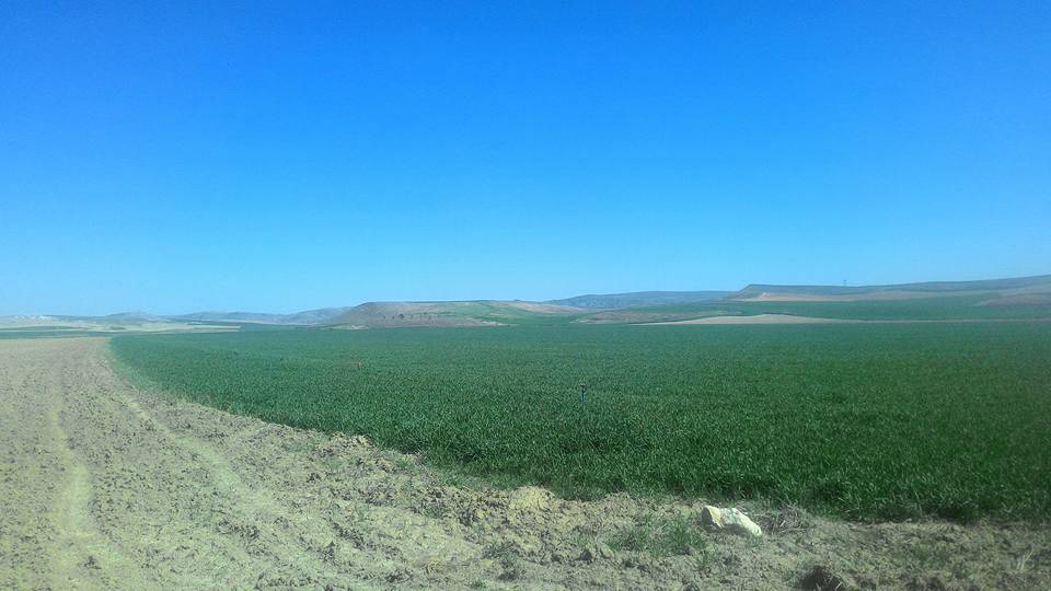 Polatlı Tatlıkuyu Köyü Resimleri 3