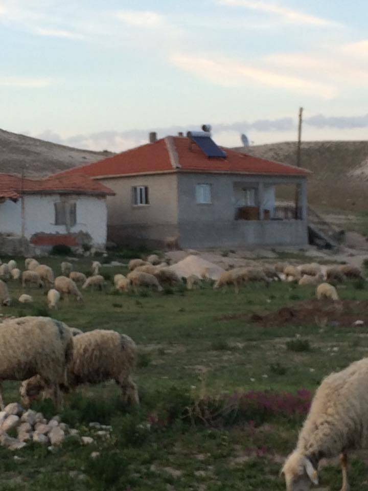 Polatlı Tüfekçioğlu Köyü Resimleri 2