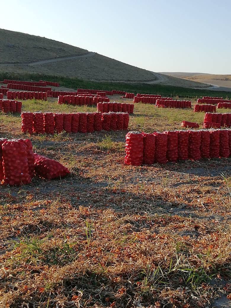Polatlı Türktacirci Köyü Resimleri 7