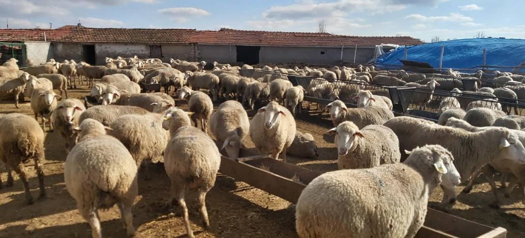 Polatlı Uzunbeyli Köyü Resimleri 6