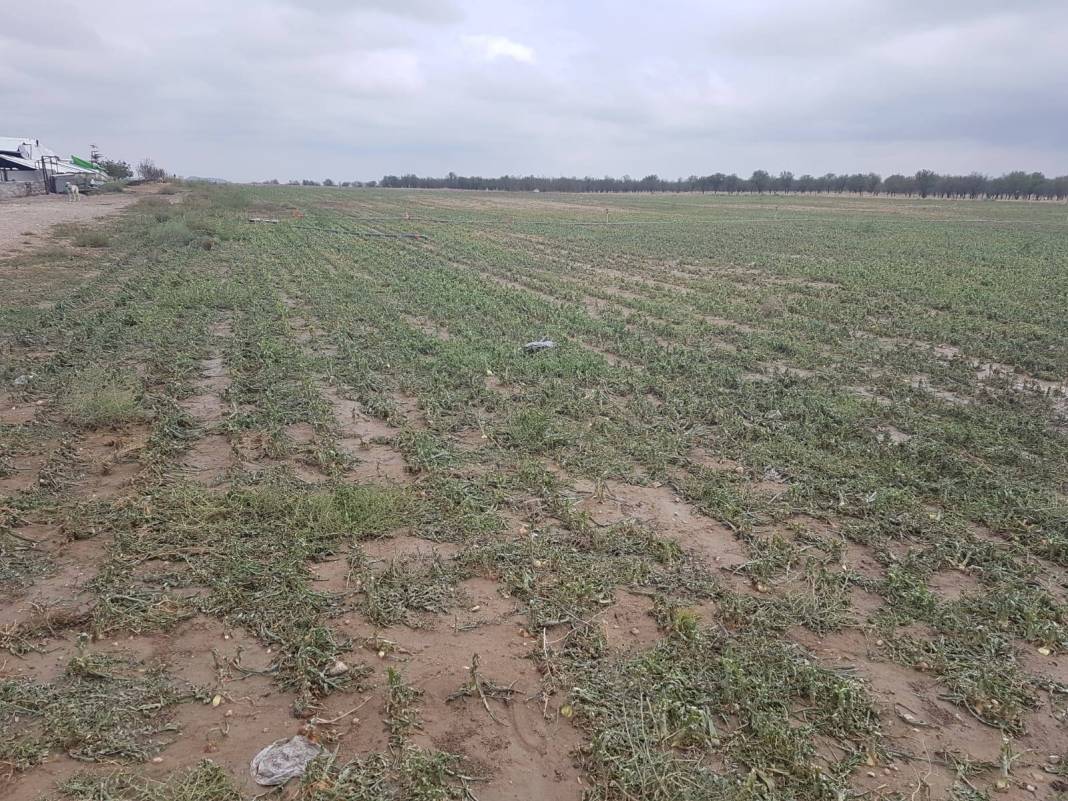 Polatlı Yağcıoğlu Köyü Resimleri 4