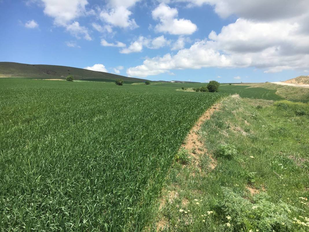 Polatlı Yağmurbaba Köyü Resimleri 5