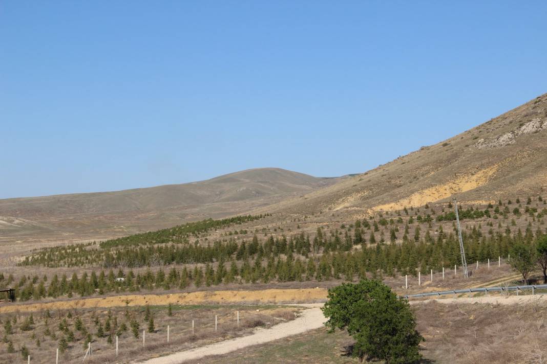 Polatlı Yenice Köyü Resimleri 2