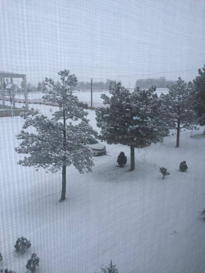 Polatlı Yenidoğan Köyü Resimleri 1