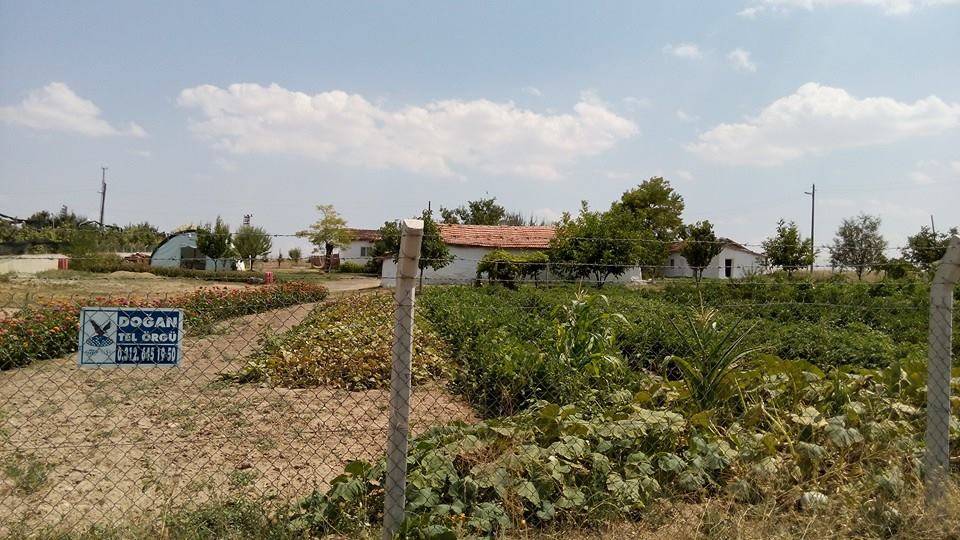 Polatlı Yenidoğan Köyü Resimleri 5