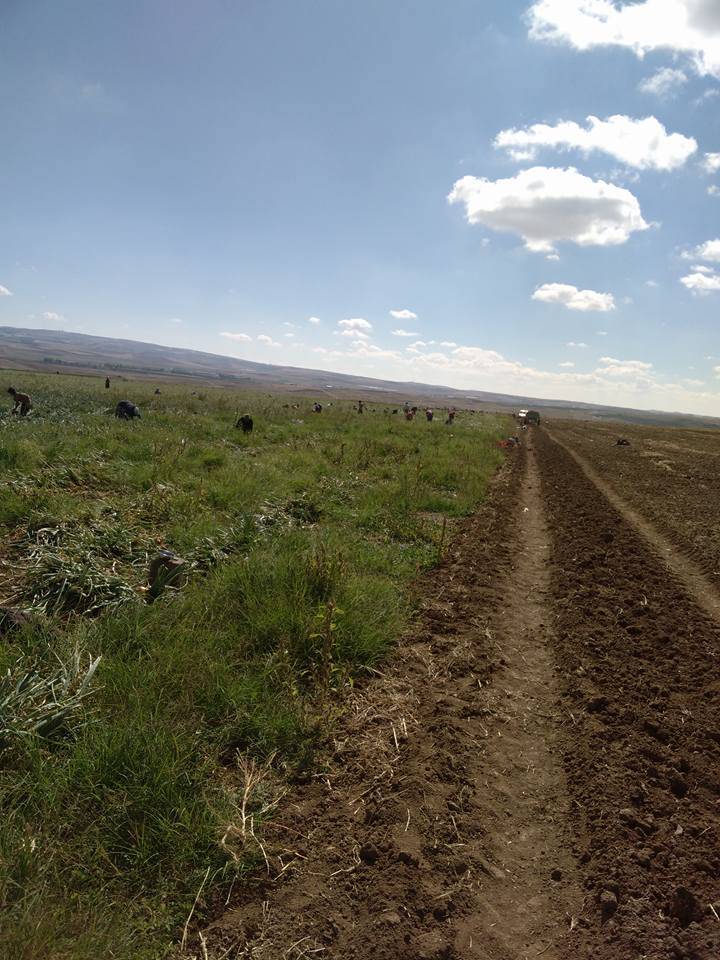 Polatlı Yenidoğan Köyü Resimleri 9