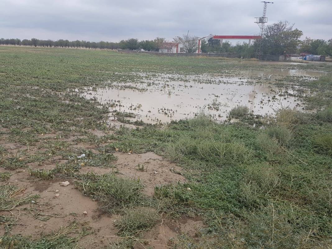 Polatlı Yeşilöz Köyü Resimleri 2