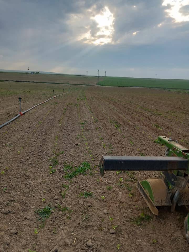 Polatlı Yeşilöz Köyü Resimleri 6