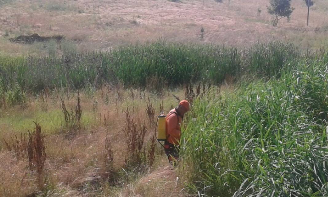 Pursaklar Yenikaraköy Köyü Resimleri 1