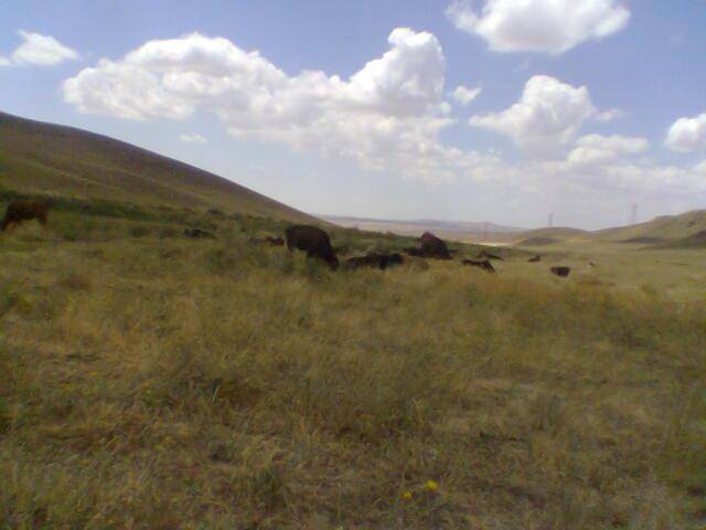 Şereflikoçhisar Akarca Köyü Resimleri 1