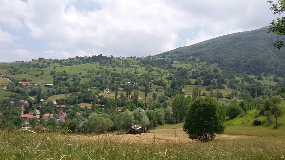 Ovacık Erkeç Köyü Resimleri 5
