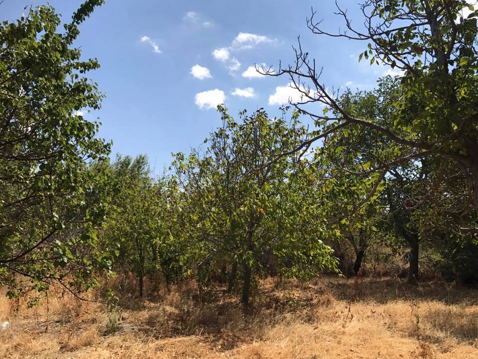 Şereflikoçhisar Deliller Köyü Resimleri 10