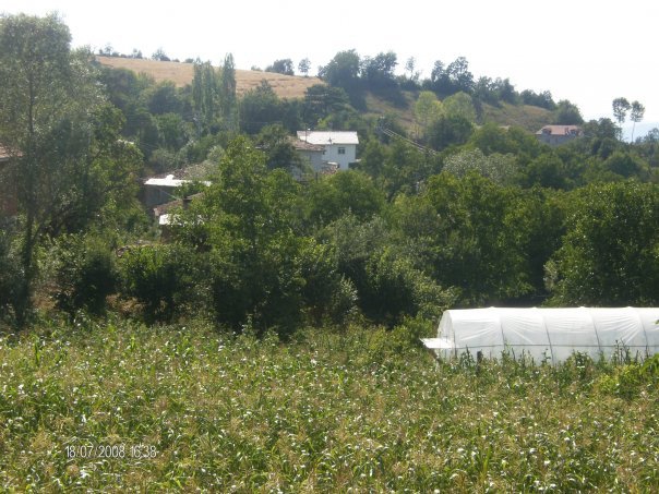Ovacık Gümelik Köyü Resimleri 4