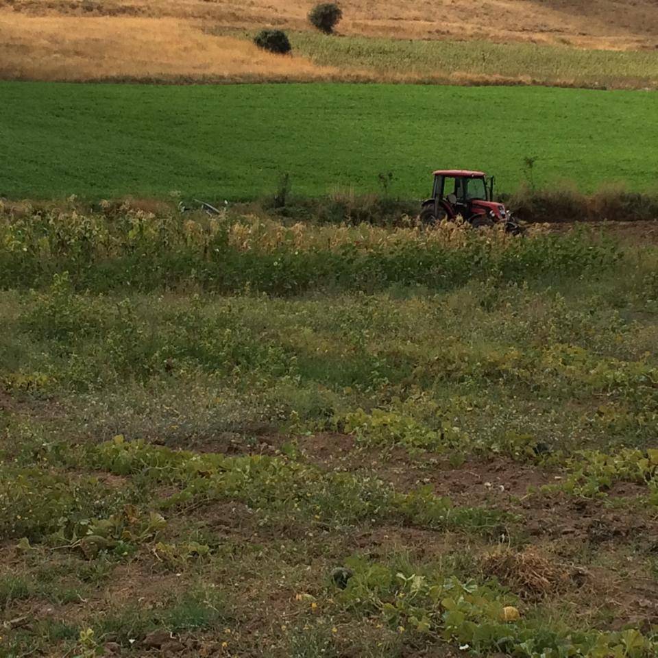 Şereflikoçhisar Seymenli Köyü Resimleri 5