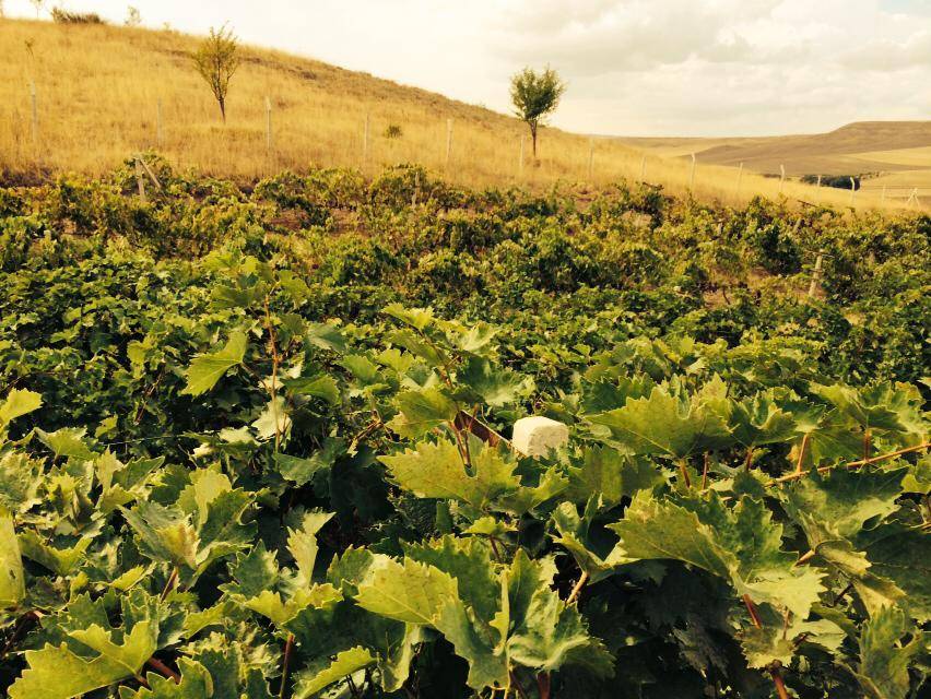 Şereflikoçhisar Seymenli Köyü Resimleri 6